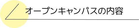 オープンキャンパスの内容